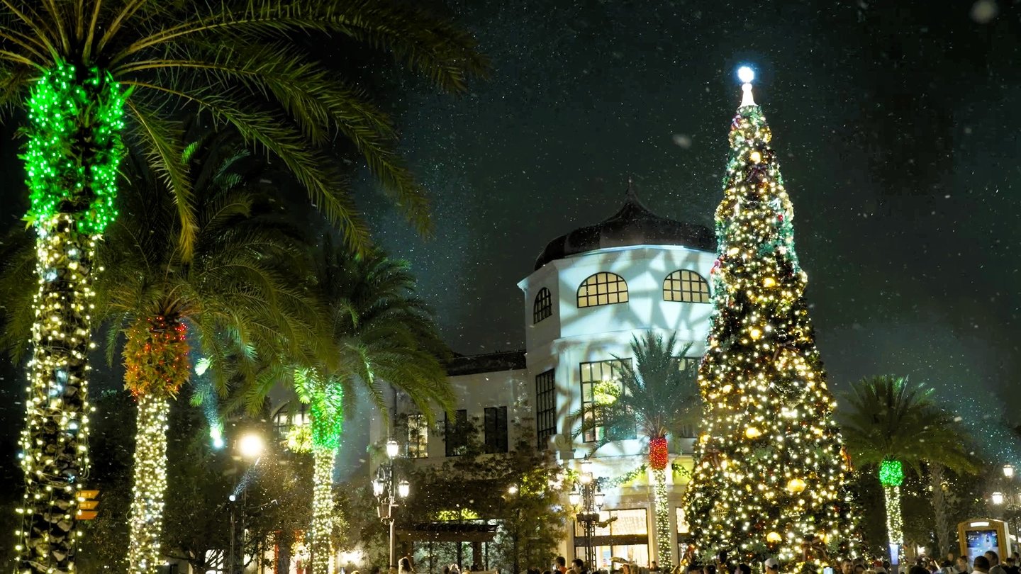 The Christmas Tree Stroll (Disney Springs)