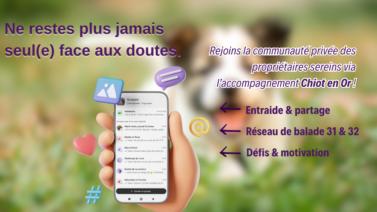 comportementaliste canin 31 et 32