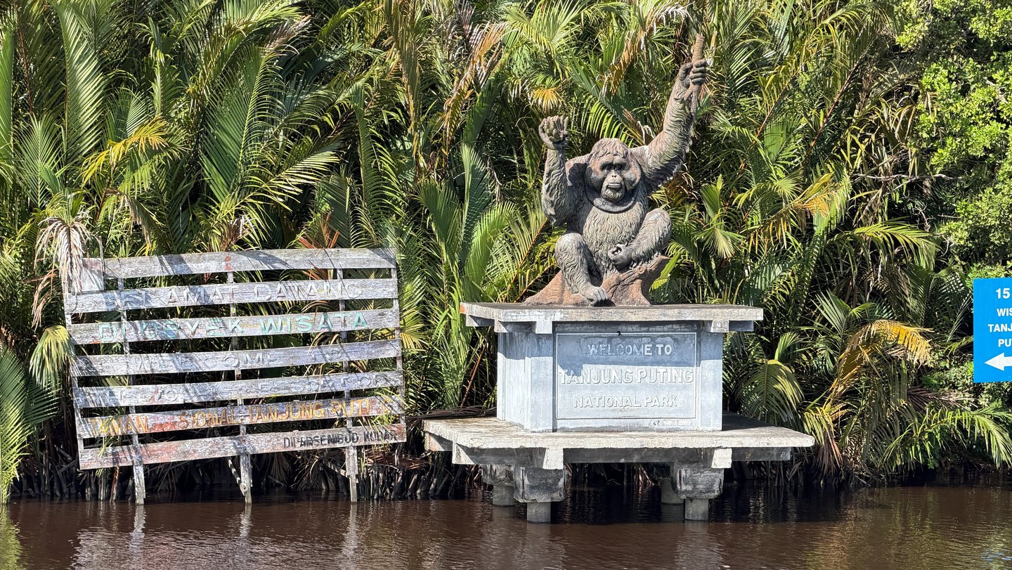 Statue of Tanjung Puting National Park
