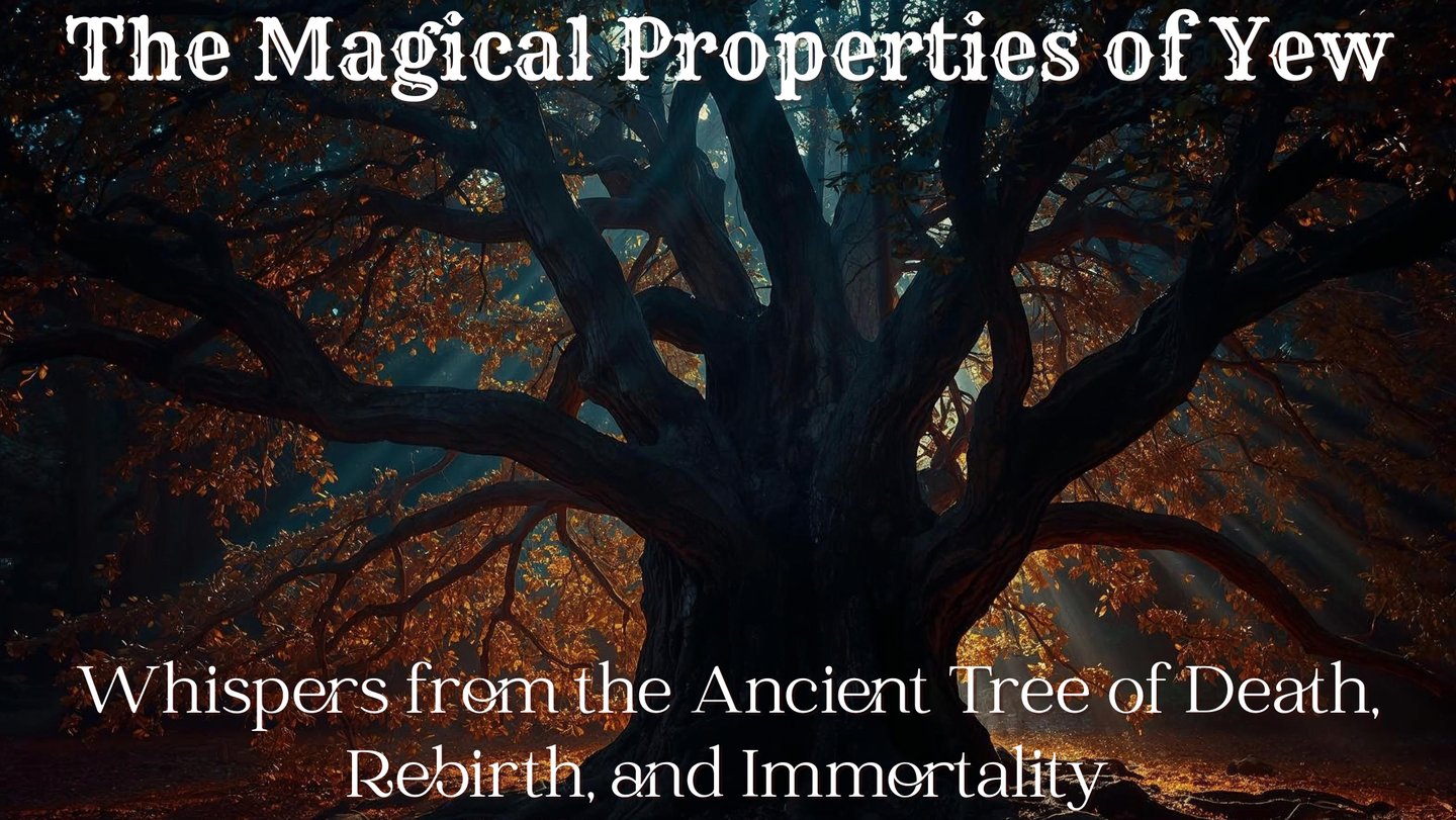 The Magical Properties of Yew