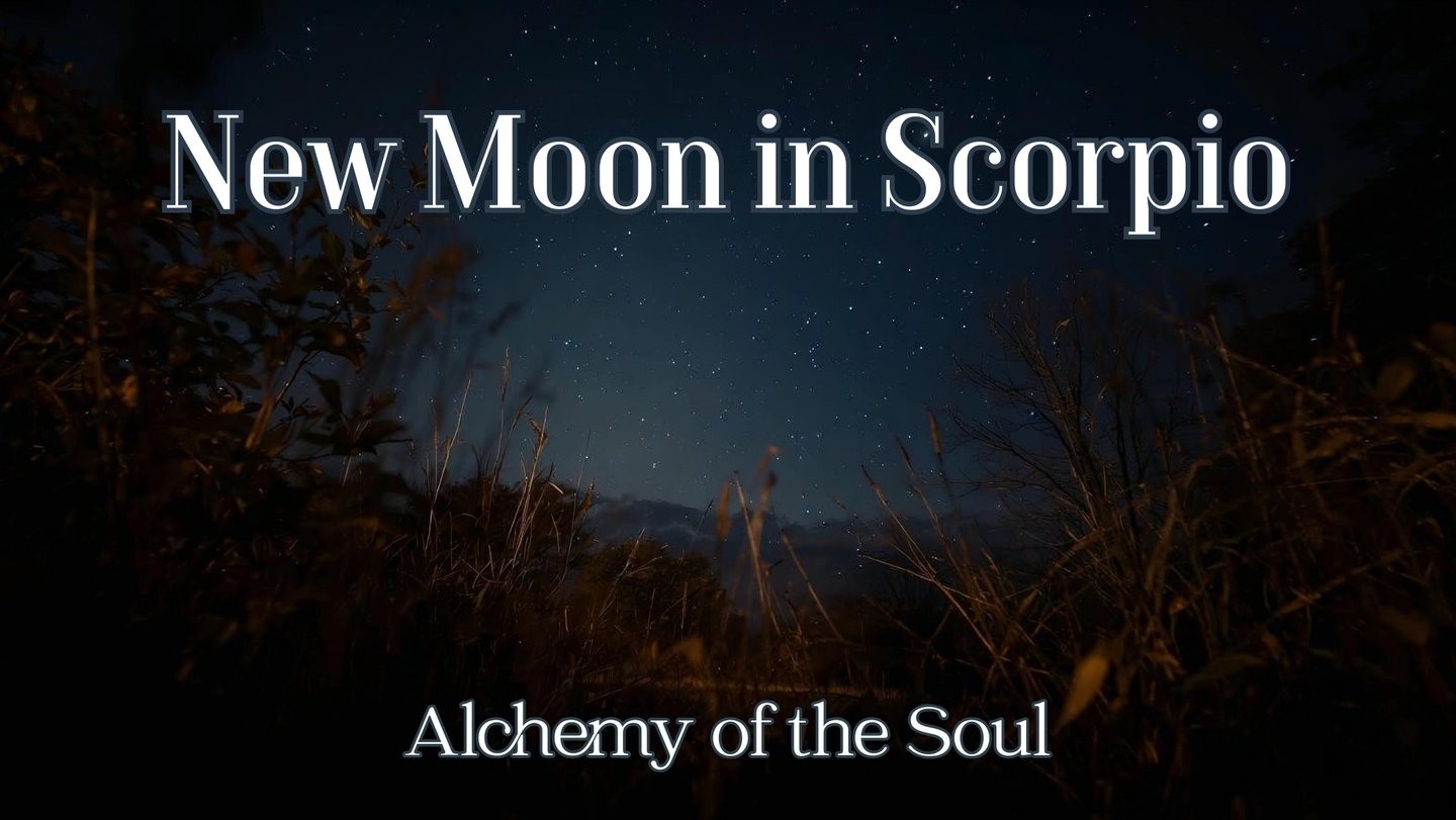 New Moon in Scorpio | November 19, 2025