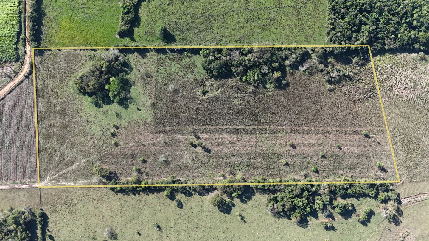 Teilbares 10 Hektar Grundstück bei Colonia Independencia, Melgarejo