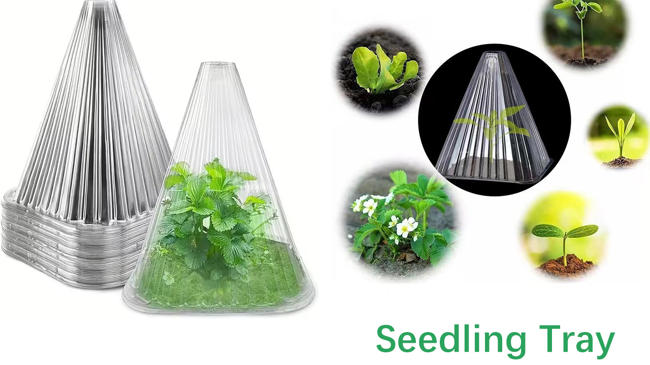 Seedling Tray - Gardening Product Manufacturer in China