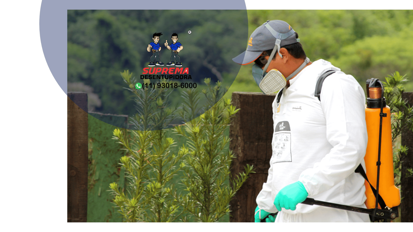 dedetização residencial