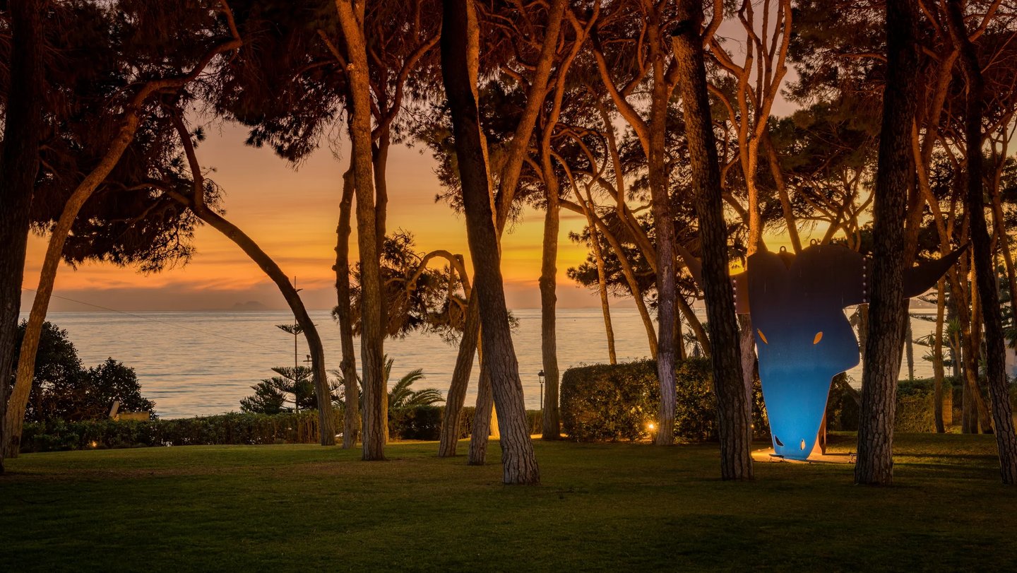 Sunset through the trees at Villa El Rincon