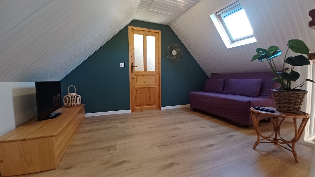 Espace mezzanine cosy avec canapé, télévision et coin lecture pour se détendre à l'étage.