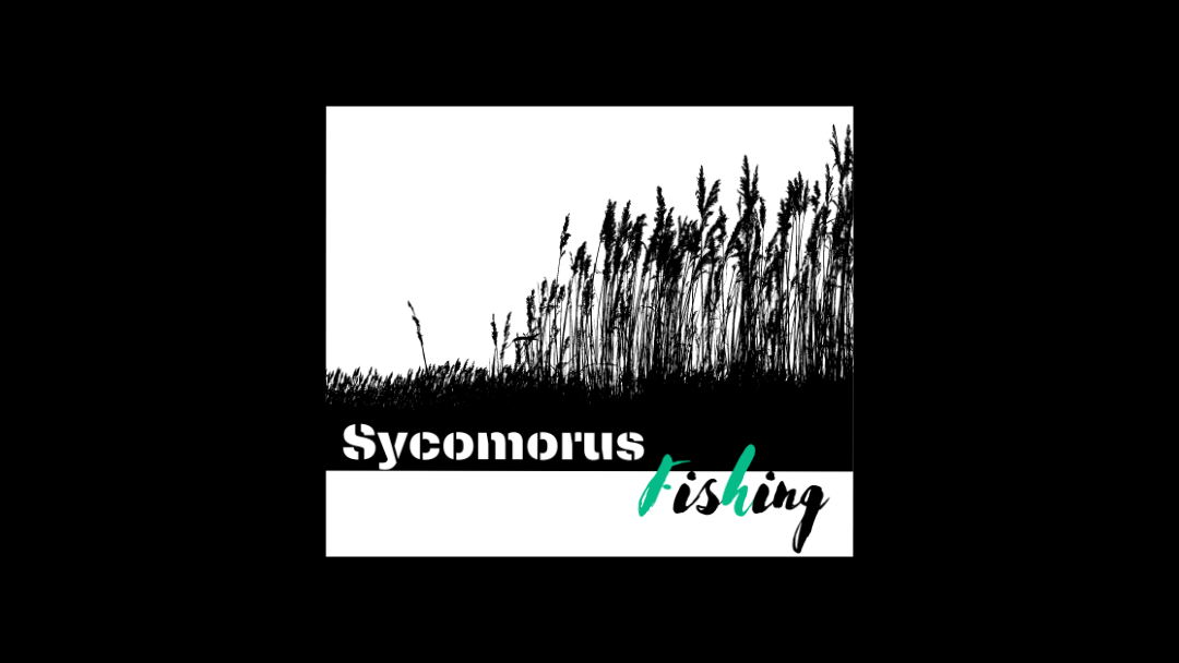 SycomorusFishing image 