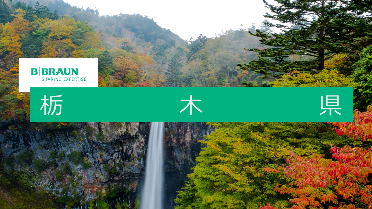 B. Braun Tochigi talent acquisition deck preview