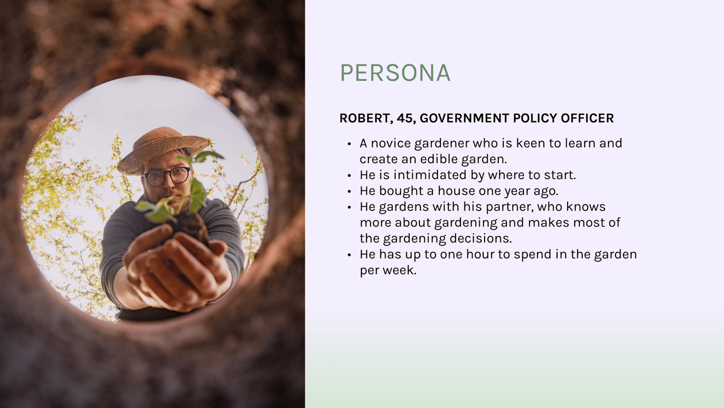 Sunny Patch - Persona