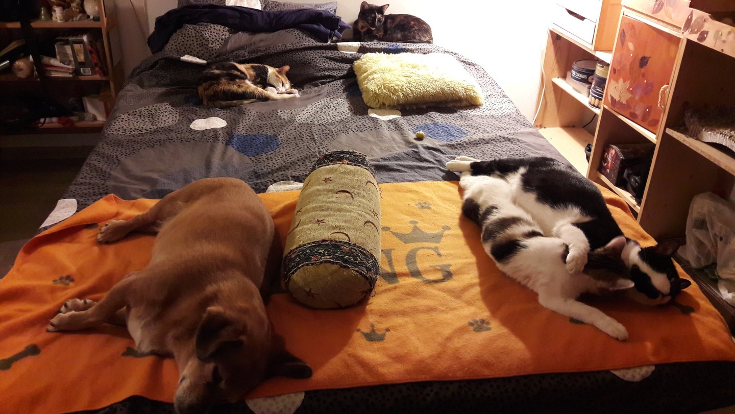 When everyone was young and small enough to share one bed :) 