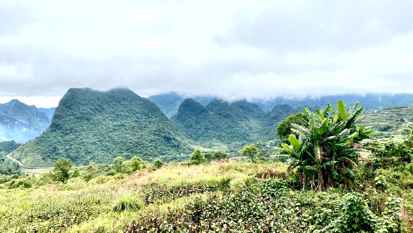 a mountain view of a mountain range with a few trees