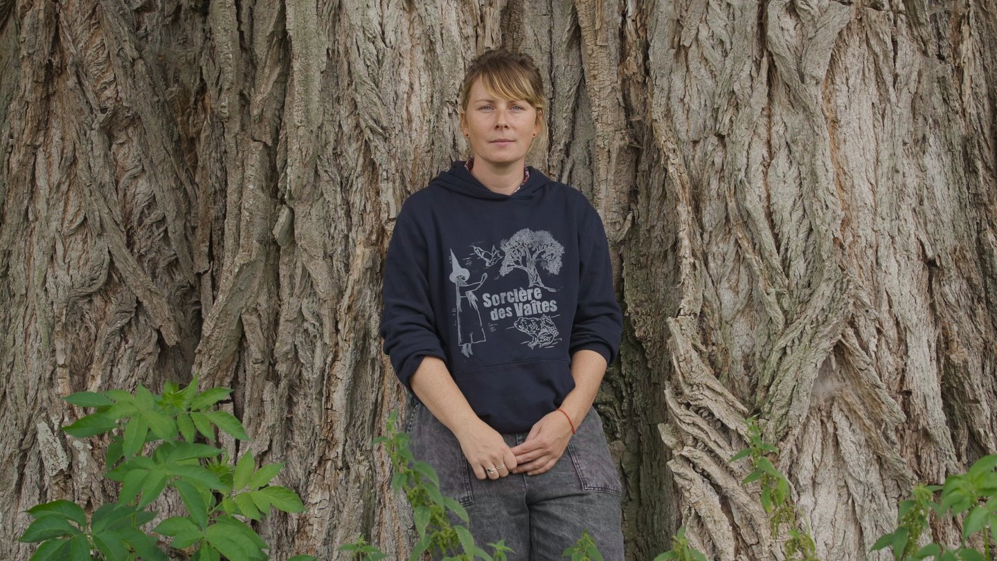 Le plus bel arbre, un documentaire de Claire Judrin