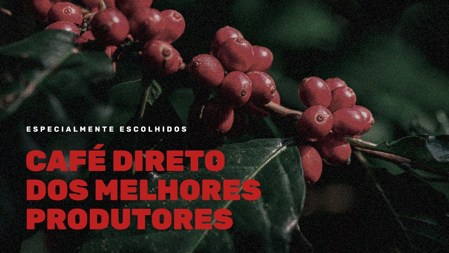 Criação de Identidade Visual | Cafehafen | Cafés Especiais