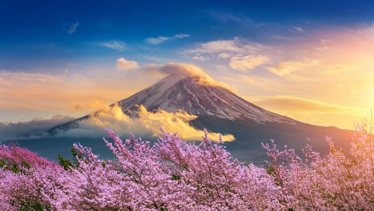 Fuji Mount at twilight with cherry blossomsTokyo Japan