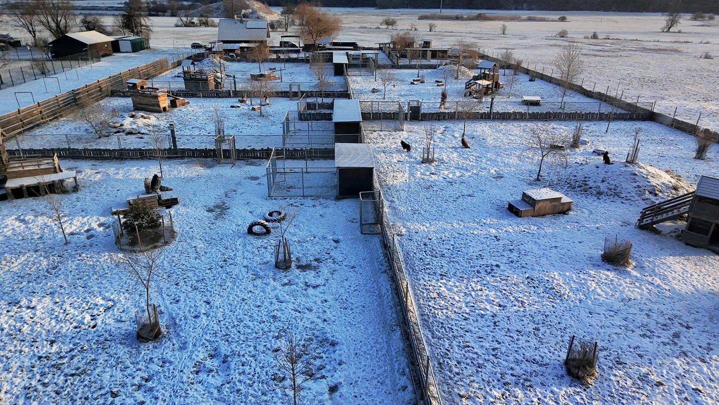 Husky-Erlebnisse, Husky-Ausfahrten, Husky-Trekkingtouren, Husky Abenteuer, Dietfurt, Bayern