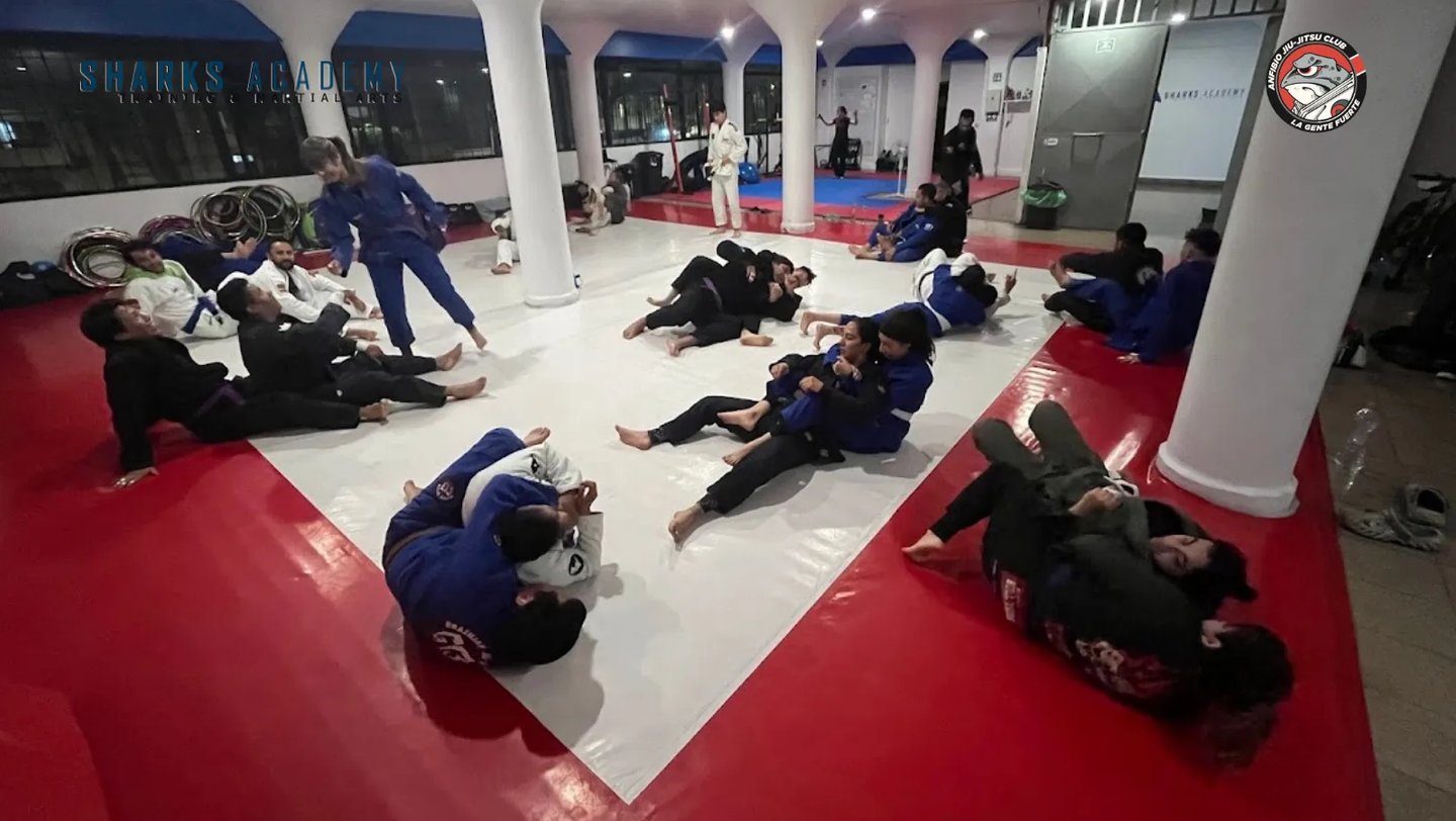 Entrenamiento de jiu jitsu en la narvarte en sharks academy training and martial arts