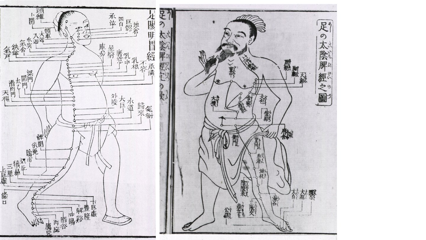 schéma ancien des méridiens d'énergétique chinoise