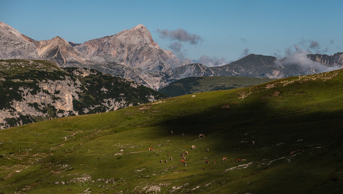 Les habitantes sous les Tre Cime