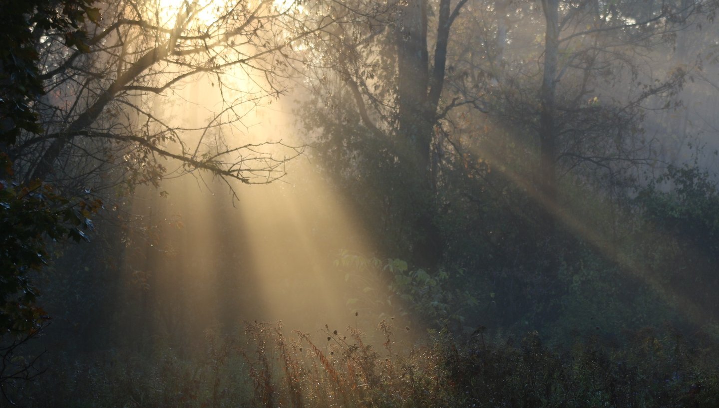 battlefield johnstown new york sun rays in mist