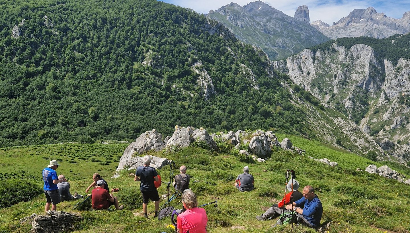 a group of people sitting on a hill with a dog