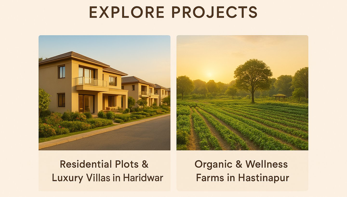 Explore RealProft Projects