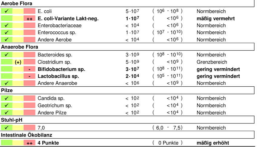 Screenshot- Kotflora Hund