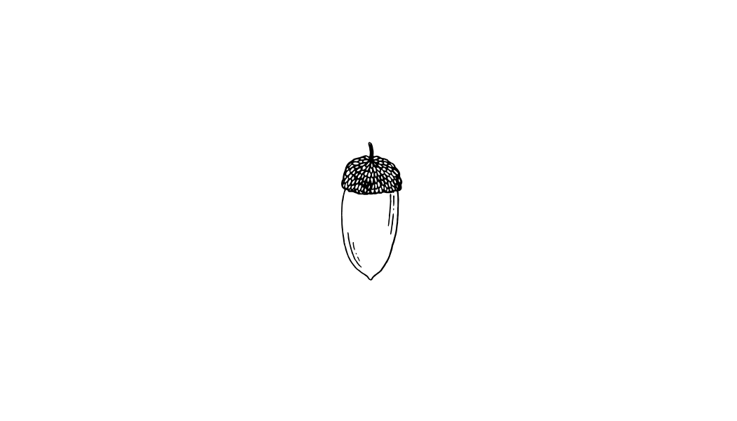 Tėvystės grupės