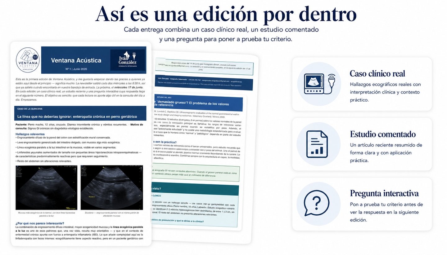 Vista previa de Ventana Acústica con caso clínico y estudio comentado