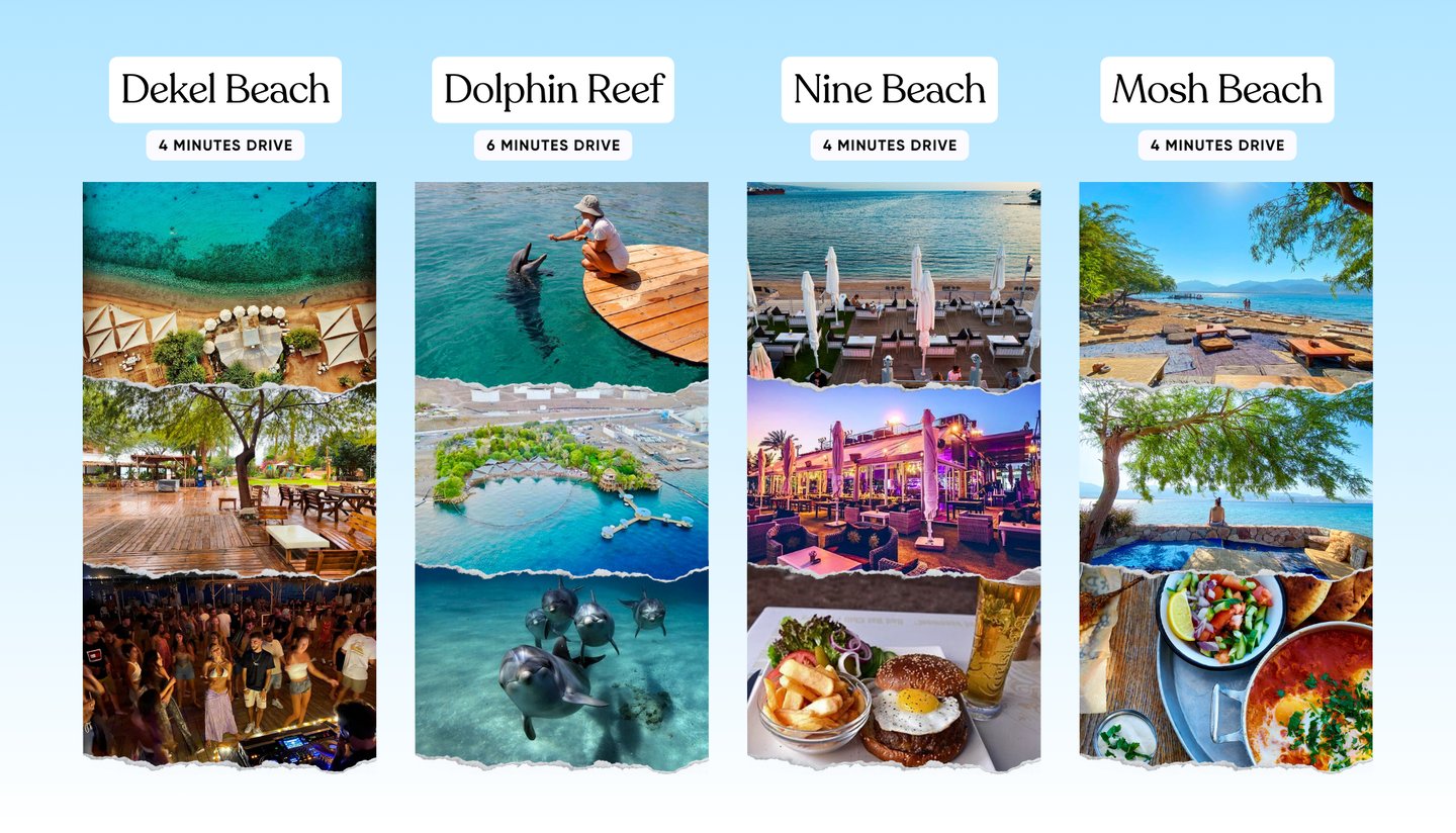 Dolphin Reef Eilat accommodation  Rooms near Dolphin Reef  Stay near Dolphin Reef Eilat  Dolphin wat