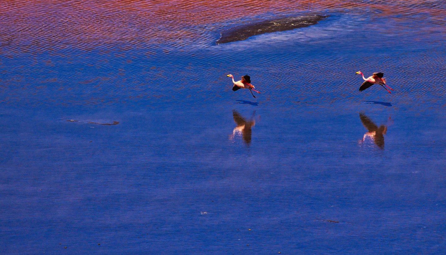 Uyuni Salt Flats Sajama Photo Tour