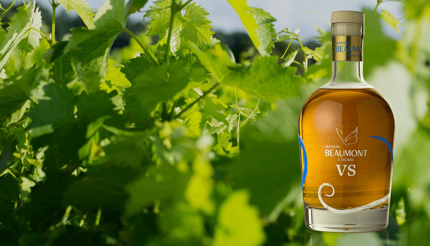 Bouteille de Cognac VS sur fond de vigne