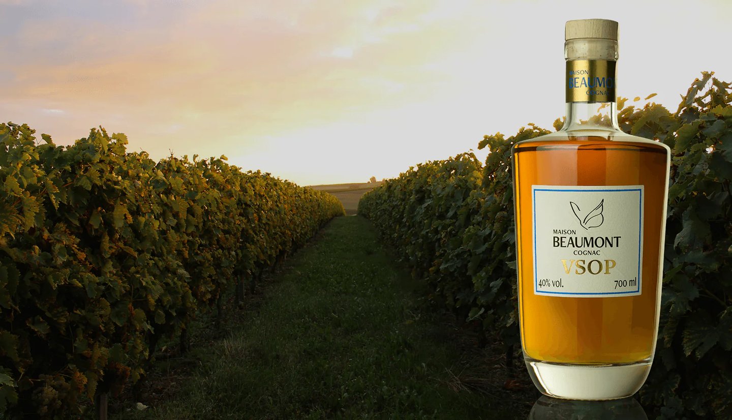 Bouteille de cognac VSOP sur fond de vigne avec coucher de soleil 