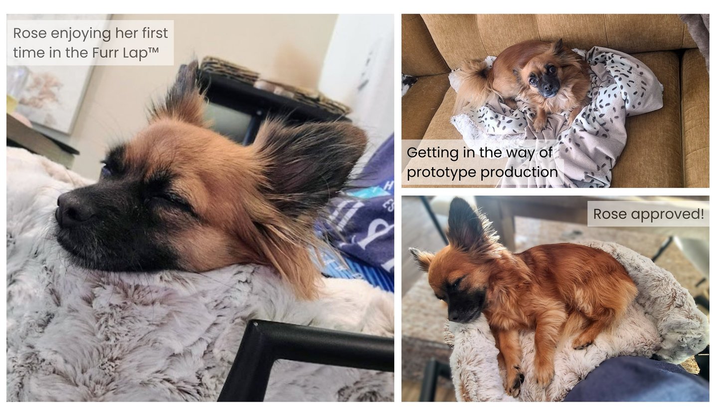 Cutest brown dog on furr lap dog lap bed