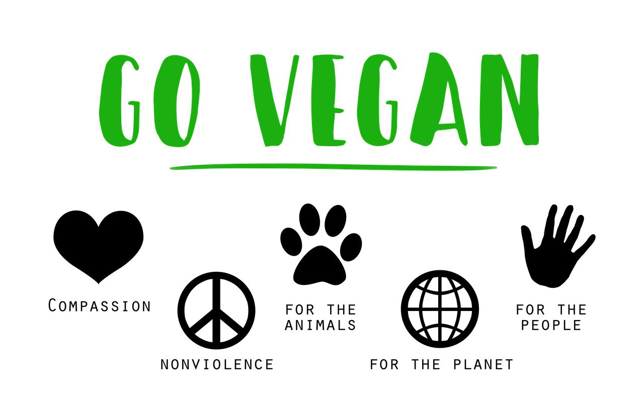 cosa trovi su veganoo.it