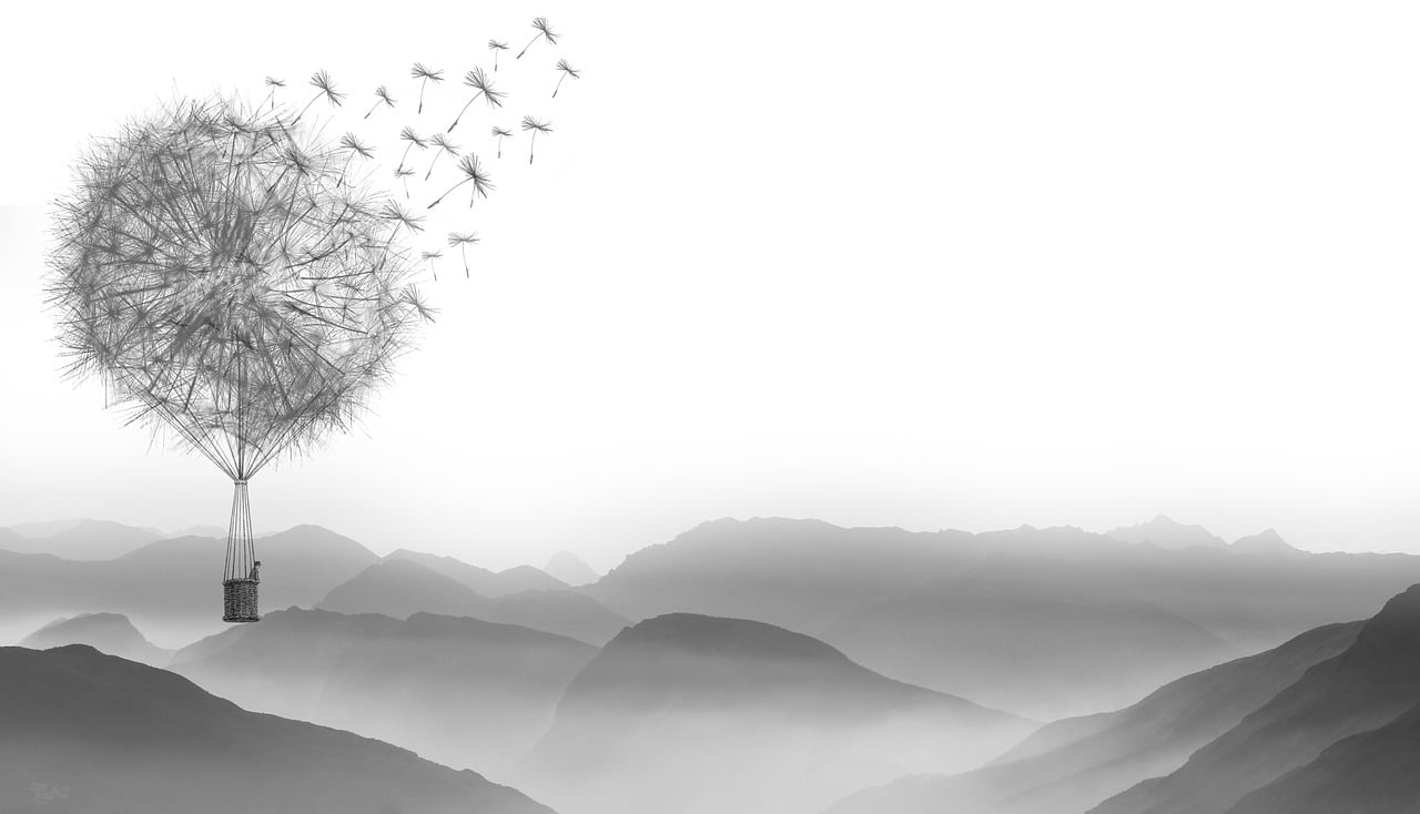 Dandelion hot air ballon over mountainscape