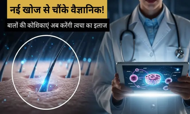 Scientific discovery showing hair-follicle stem cells accelerating natural skin healing and wound