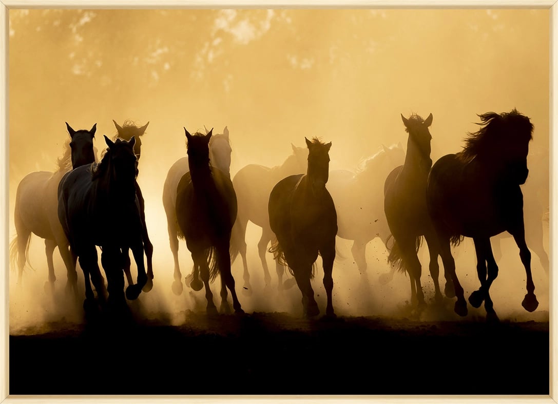 a group of horses running in the dust