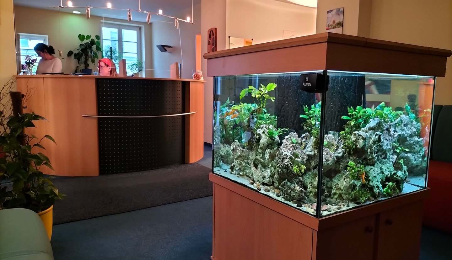 Hausarzt Knauf Praxis Freiberg