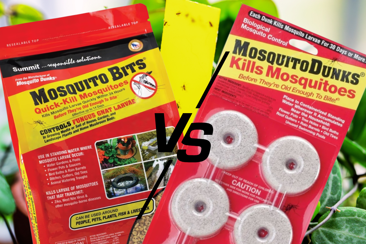 mosquito bits bag and mosquito dunks package side by side with a vs graphic in the middle