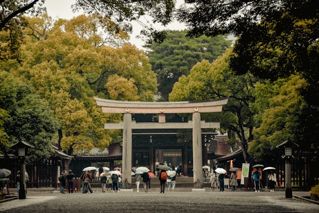 Massive wooden torii gate entrance to Meiji Shrine surrounded by forest in Tokyo