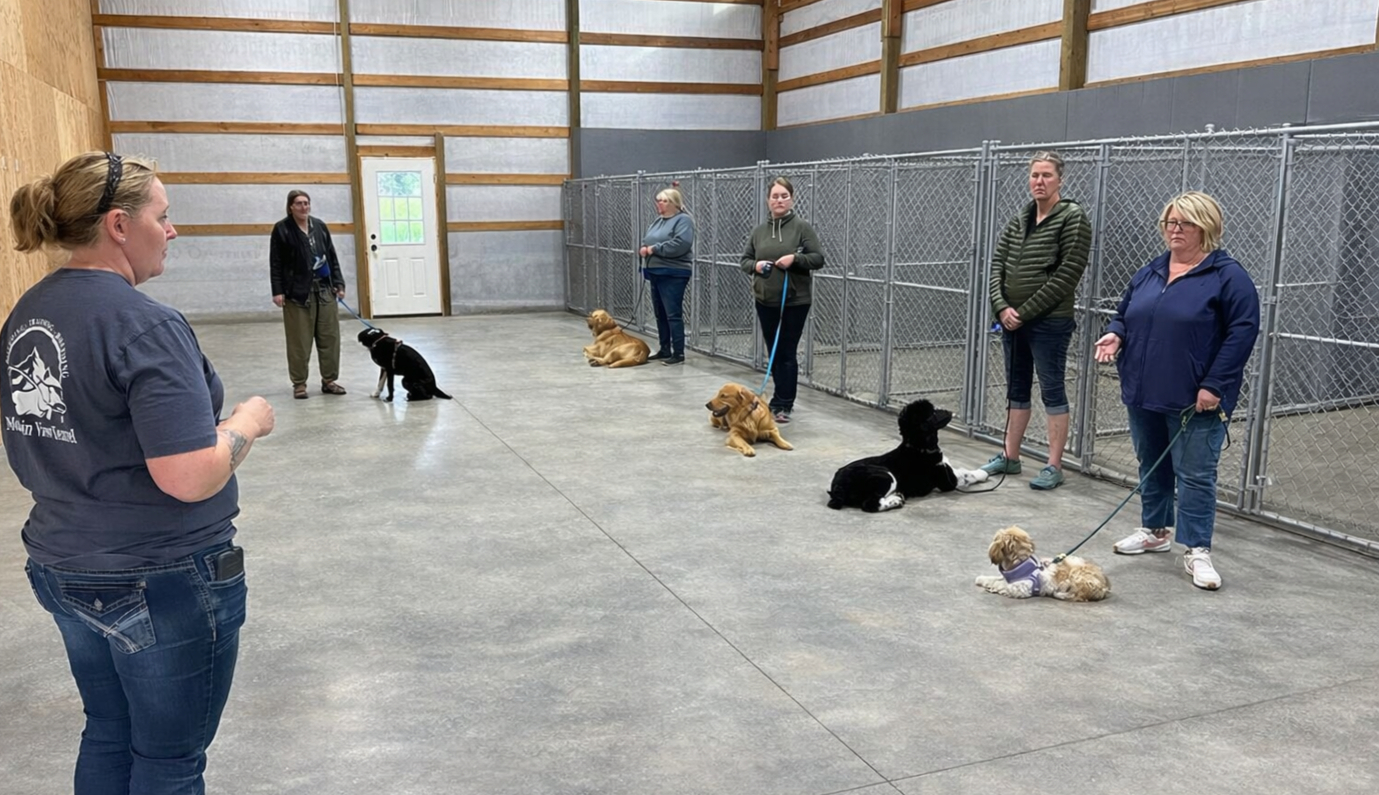 Dog training classes in North Idaho. Offering beginner, intermediate and board + train if necessary.