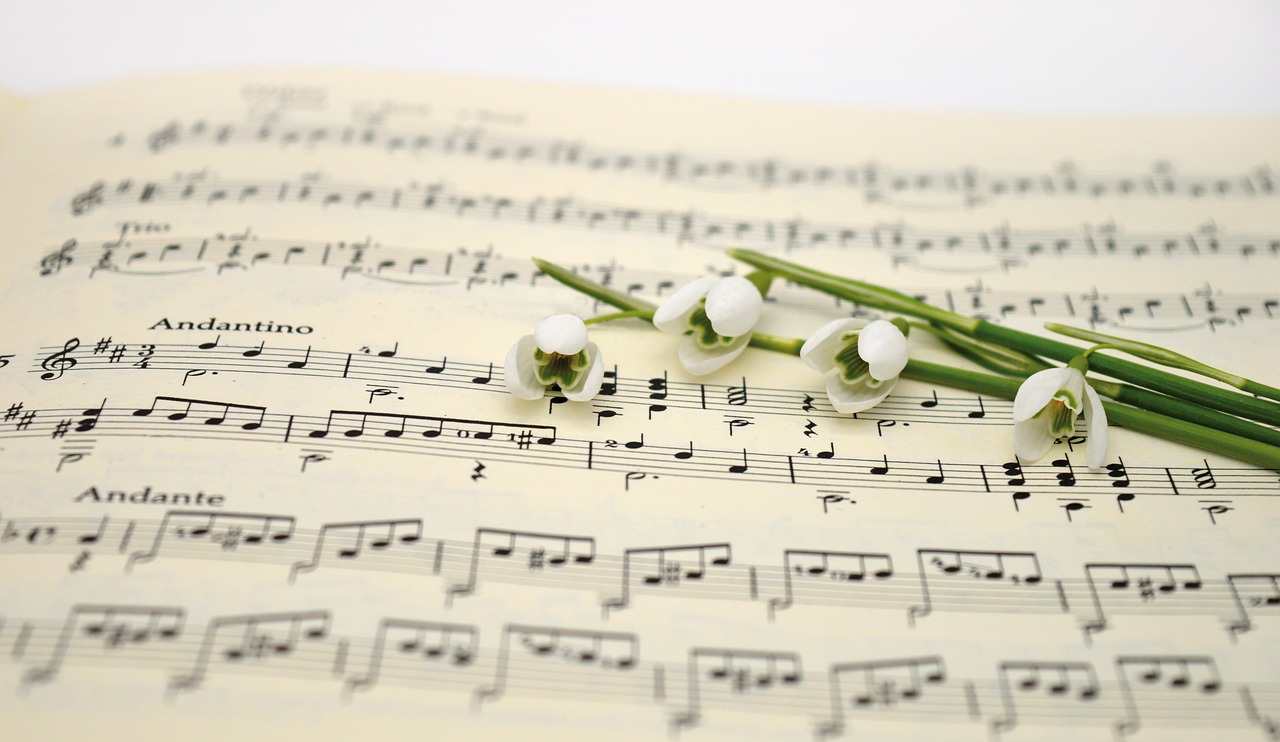 The Rhythm of the Mind: How Music Shapes Your Brain Chemistry and Mood