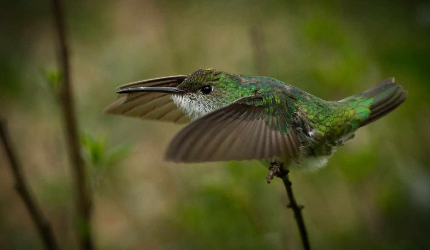 Photography Manu Reserved Natural Paradise 9 D/8N