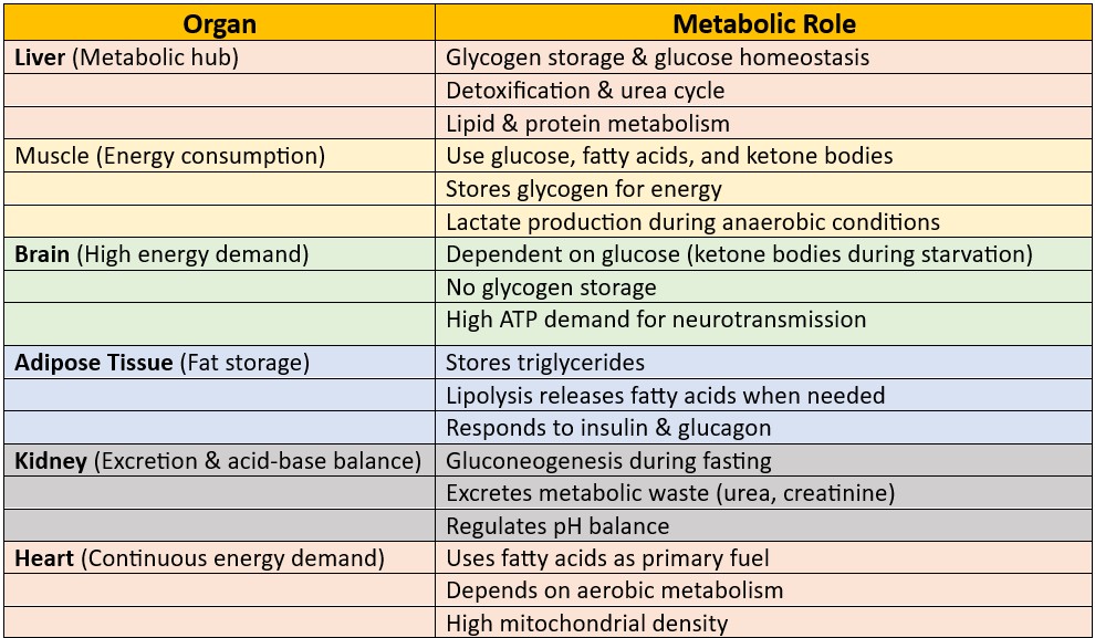 Organ profile with metabolic roles