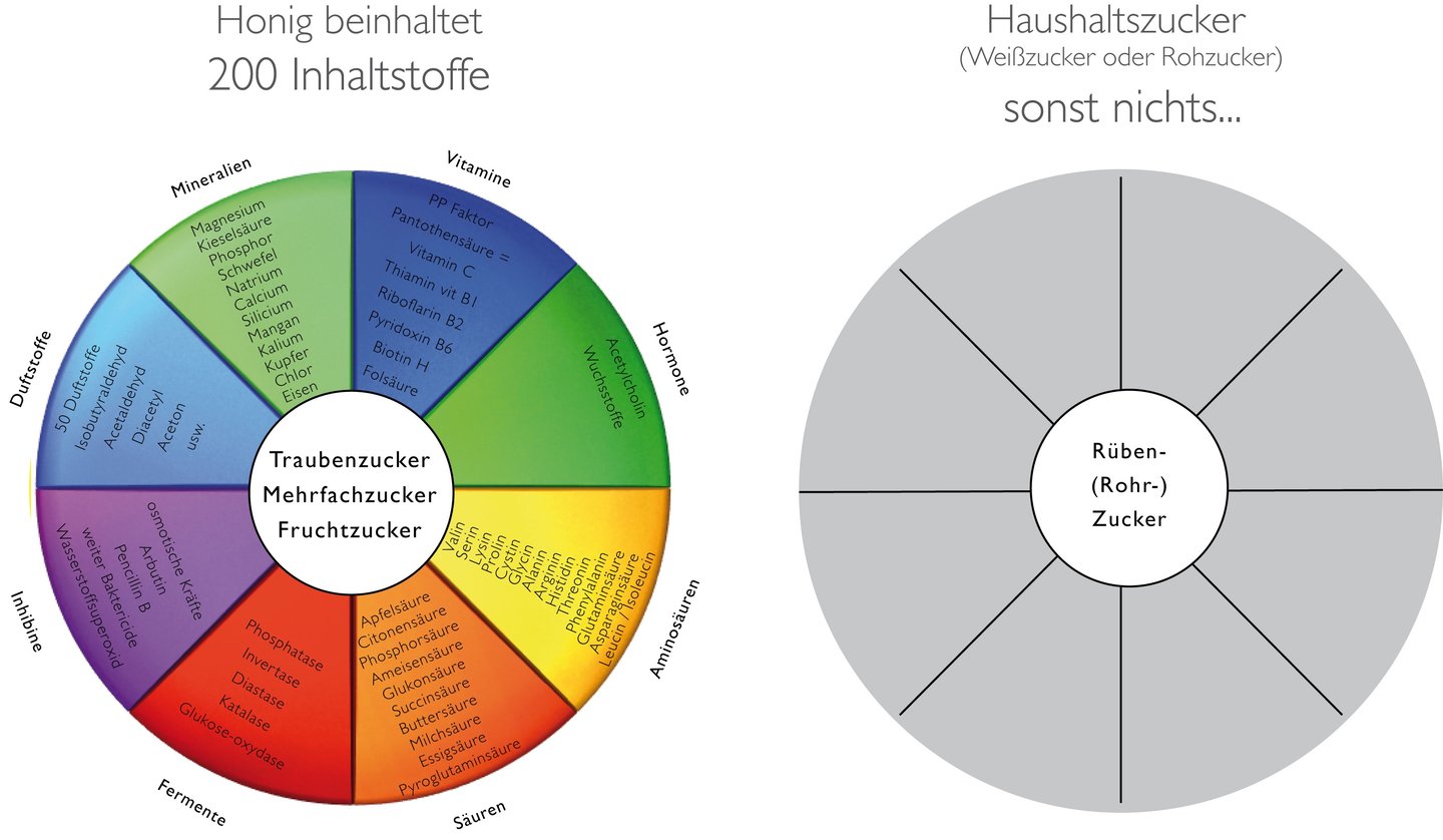 Darstellung von Inhaltsstoffe von Honig vs. Haushaltszucker