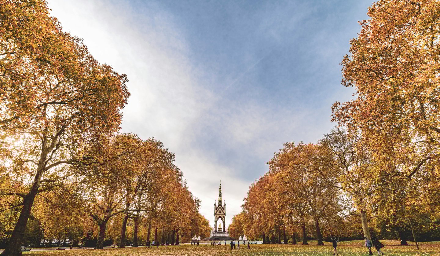 Golden autumn leaves in Hyde Park London with trees and walking paths