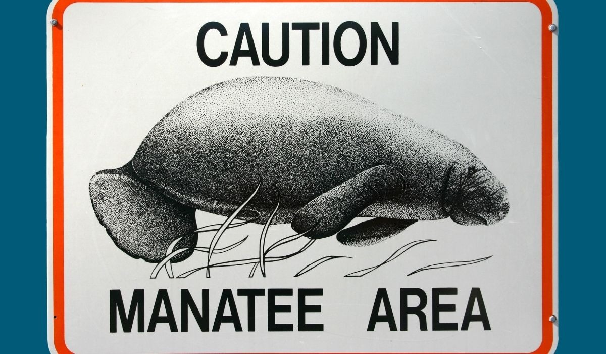 caution manatee area sign