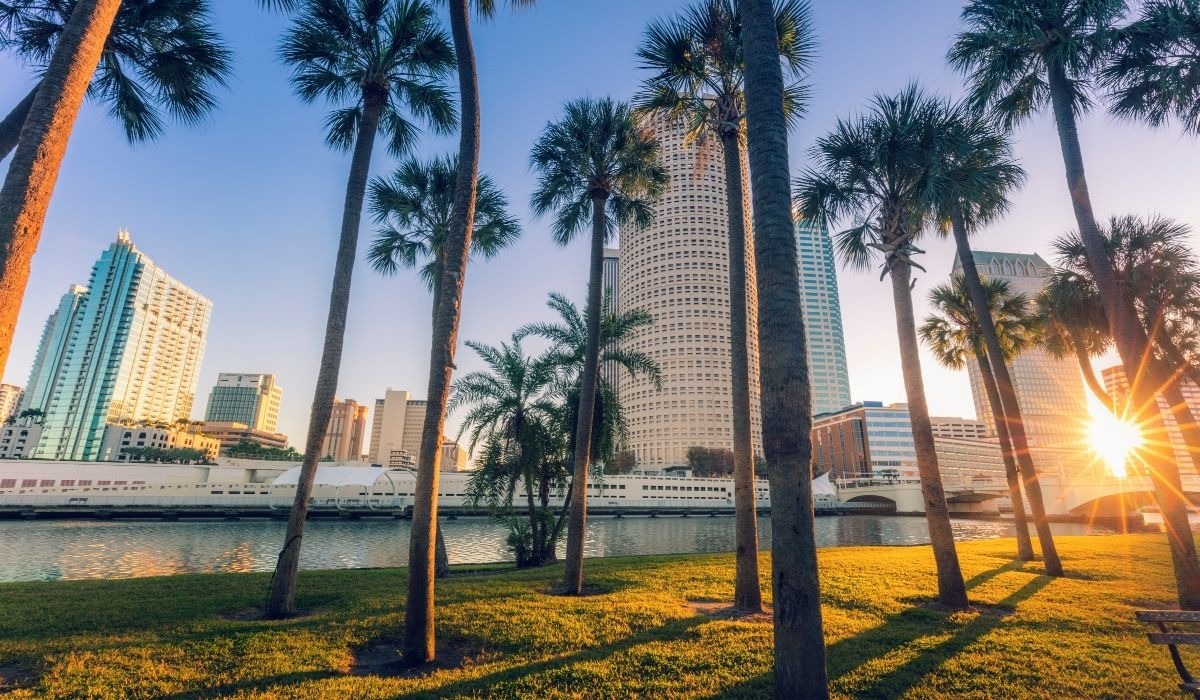 downtown tampa with palm trees in foreground