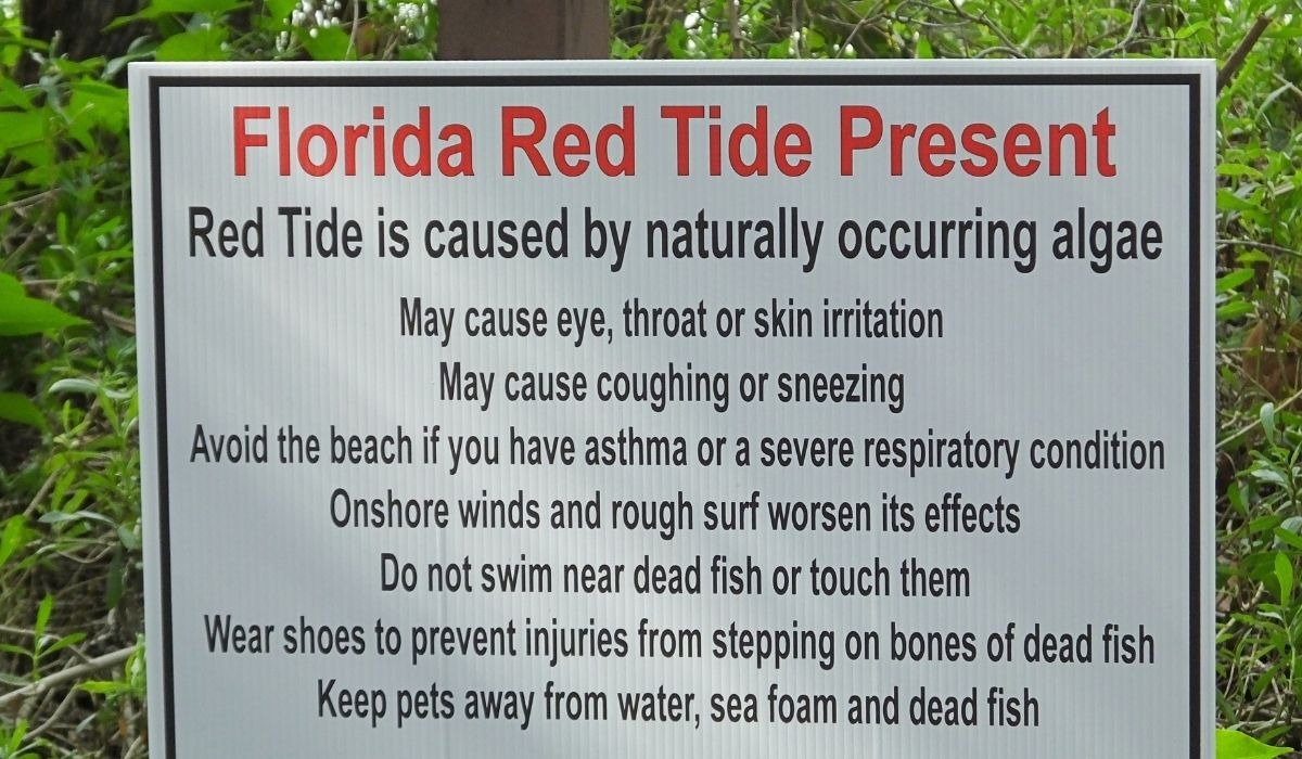 Florida red tide present sign at beach