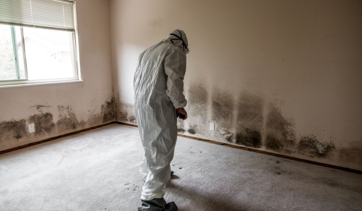 man in hazmat suit cleaning black house mold
